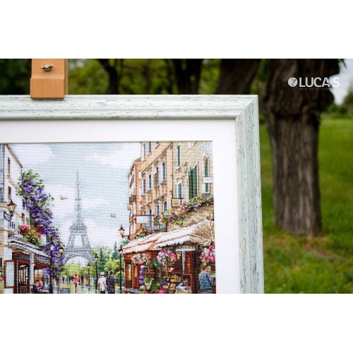 Luca-S - Paris in flowers