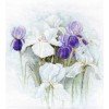 Luca-S - Irises