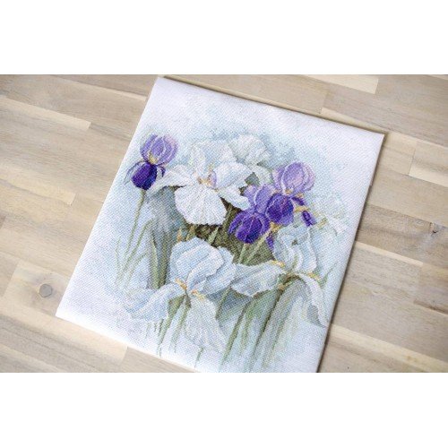 Luca-S - Irises