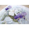 Luca-S - Irises