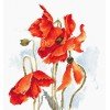 Luca-S - The poppies