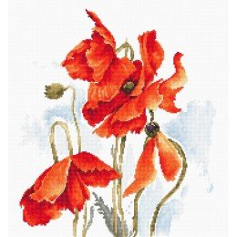 Luca-S - The poppies