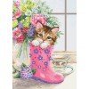 Luca-S - Pretty kitten