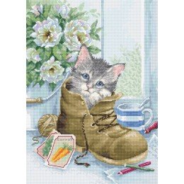 Luca-S - Cute kitten