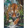 Luca-S - The tiger