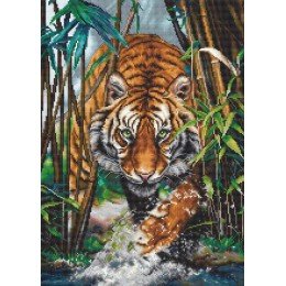 Luca-S - The tiger