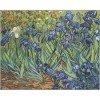 Luca-S - Irises, reproduction of Van Gogh