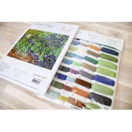 Luca-S - Irises, reproduction of Van Gogh