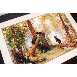 Luca-S - Morning in a pine forest