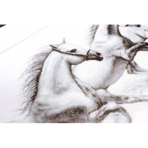 Luca-S - Caballos blancos