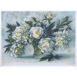 Luca-S - Peonies