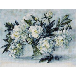 Luca-S - Peonies