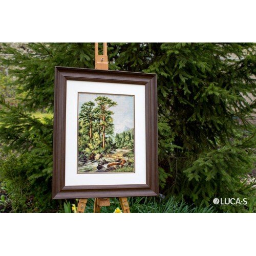 Luca-S - Mountain river
