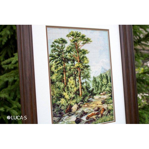 Luca-S - Mountain river