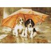Luca-S - Couple under an umbrella