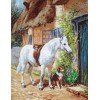 Luca-S - By the cottage