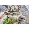 Luca-S - Christmas deer