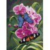 Luca-S - Poesía de la naturaleza