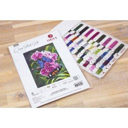 Luca-S - Nature’s poetry