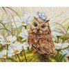 Luca-S - Lucky owl