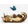 Luca-S - Playful kitten