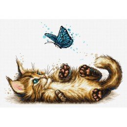Luca-S - Playful kitten