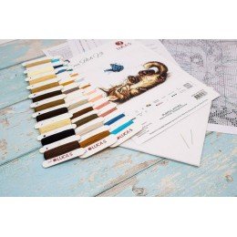 Luca-S - Playful kitten