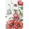 Luca-S - The field poppies