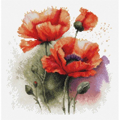 Luca-S - Poppy flowers
