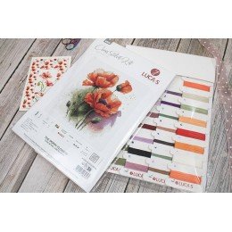 Luca-S - Poppy flowers