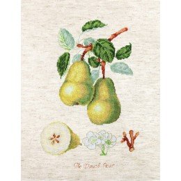 Luca-S - The dauch pear