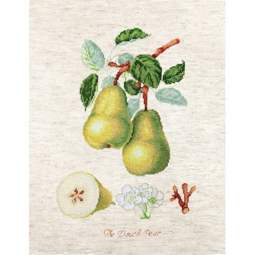 Luca-S - The dauch pear