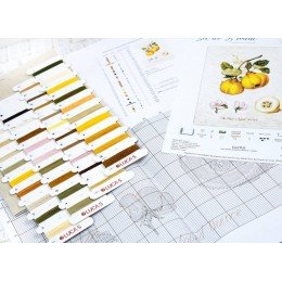 Luca-S - The pear shaped quince