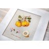Luca-S - The pear shaped quince