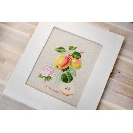 Luca-S - The dutch codlin