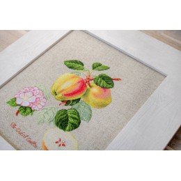 Luca-S - The dutch codlin