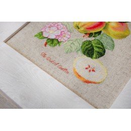 Luca-S - The dutch codlin