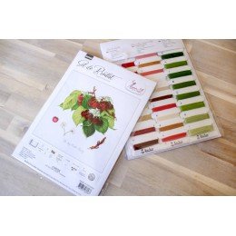 Luca-S - The may duke cherry