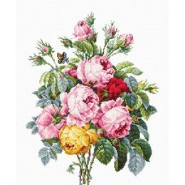 Luca-S - Rosas