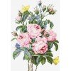 Luca-S - Bouquet of roses