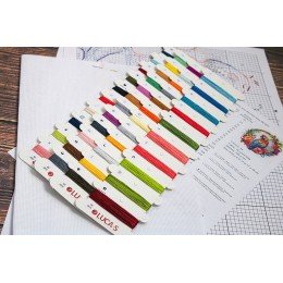 Luca-S - The tropical parrot