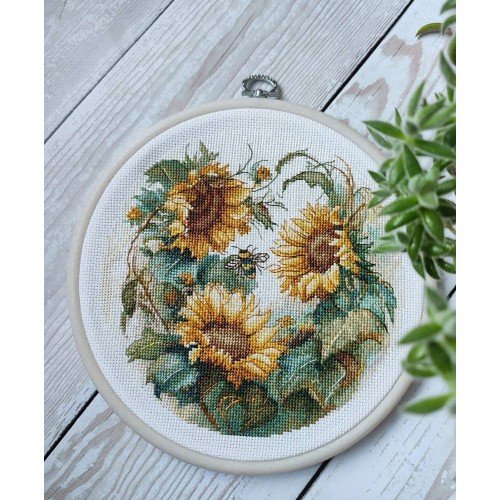 Luca-S - Girasol