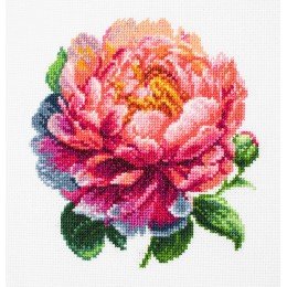 Luca-S - Coral charm peony