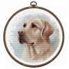 Luca-S - The labrador