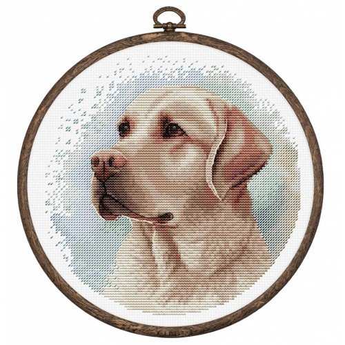 Luca-S - The labrador