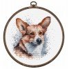 Luca-S - Welsh corgi