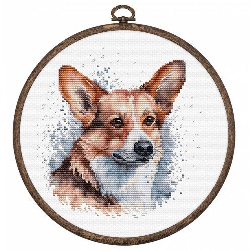 Luca-S - Welsh corgi