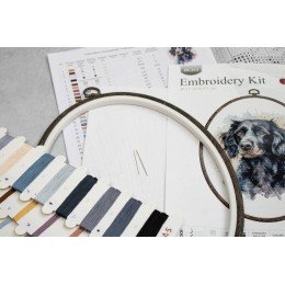 Luca-S - Border collie