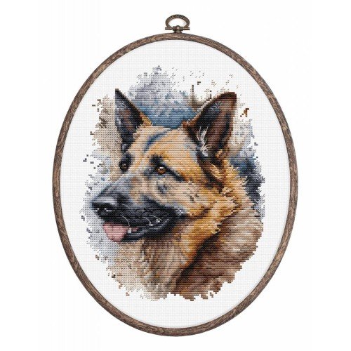 Luca-S - German shepherd