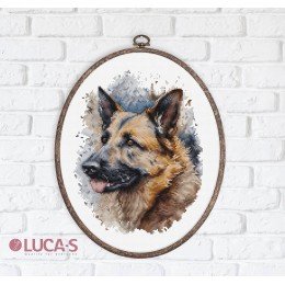 Luca-S - German shepherd